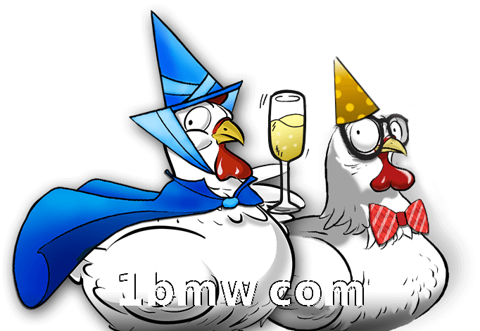 1bmw com